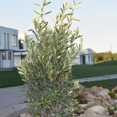 Luxury Vodolei Aparthotel