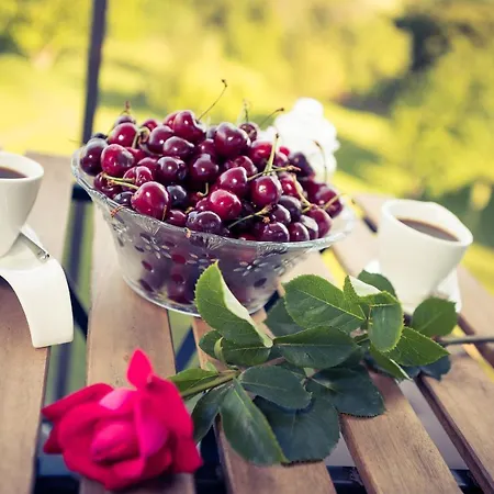 Aparthotel Luxury Vodolei 4*